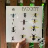 Syd Barrett ‎– Barrett Vinyl
