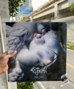 Björk ‎– Arisen My Senses Vinyl