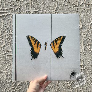 Paramore ‎– Brand New Eyes Vinyl
