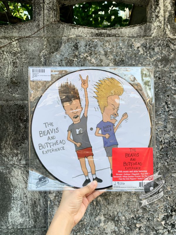 Various ‎– The Beavis And Butt-Head Experience Vinyl