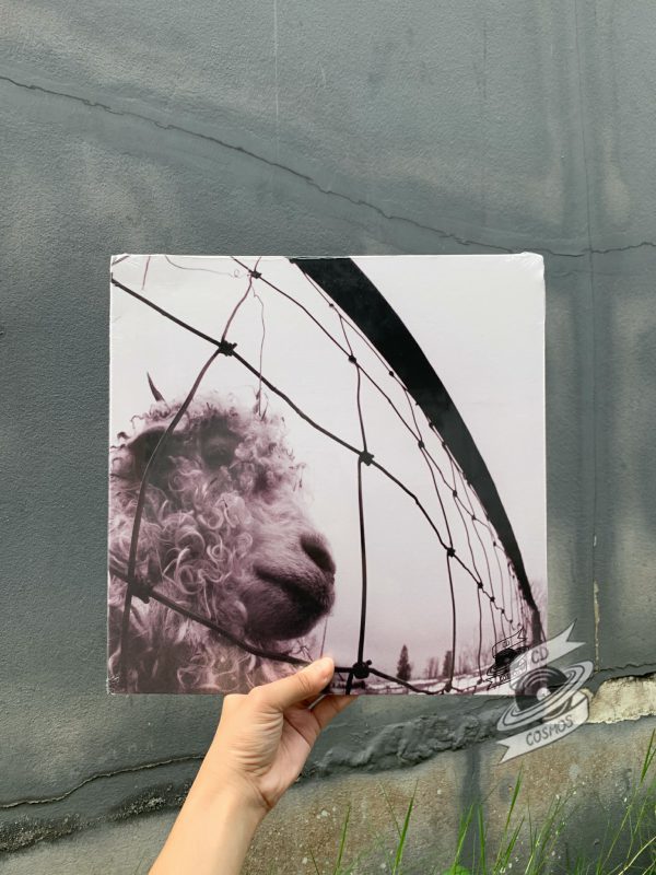 Pearl Jam ‎– Vs. Vinyl