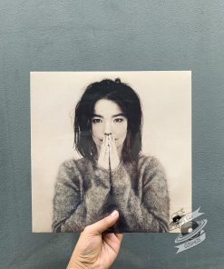 Björk ‎– Debut Vinyl