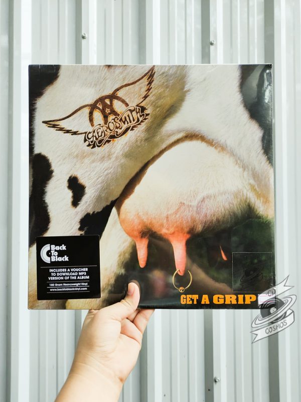 Aerosmith ‎– Get A Grip Vinyl