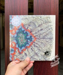 Red Hot Chili Peppers ‎– The Sunset Sleeps / Hometown Gypsy Vinyl