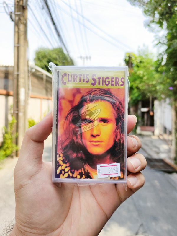 Curtis Stigers - Curtis Stigers