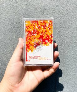 Counting Crows - Films About Ghosts (The Best Of Counting Crows)