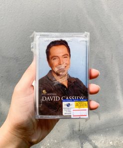 David Cassidy - Then And Now