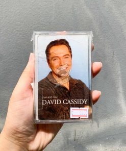 David Cassidy - Then And Now