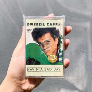 Dweezil Zappa - Havin' A Bad Day