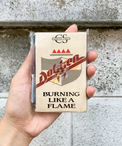 Dokken - Burning Like A Flame