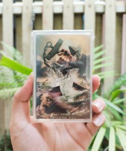 Salty Dog - Every Dog Has Its Day