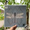 OHHMS ‎– Close Vinyl