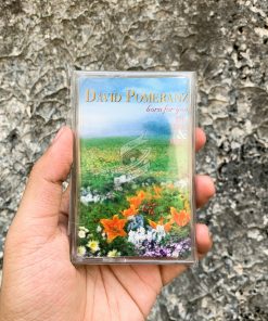 David Pomeranz - Born For You - His Best & More