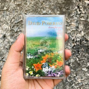 David Pomeranz - Born For You - His Best & More