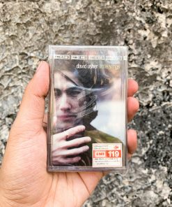 David Usher - Little Songs