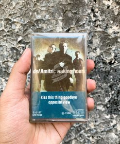 Del Amitri - Waking Hours