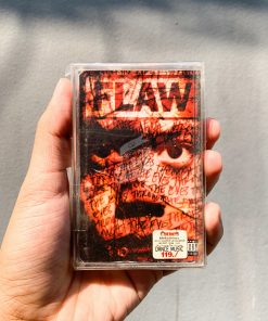 Flaw - Through The Eyes