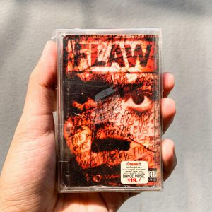 Flaw - Through The Eyes