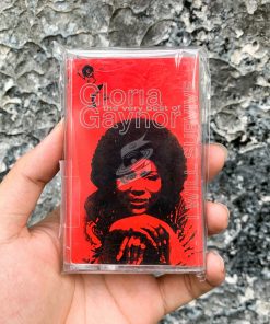 Gloria Gaynor - The Very Best Of Gloria Gaynor "I Will Survive"