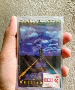 Joshua Kadison - Delilah Blue