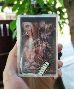 The Leaving Trains - The Lump In My Forehead