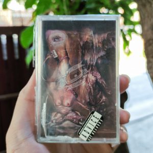 The Leaving Trains - The Lump In My Forehead