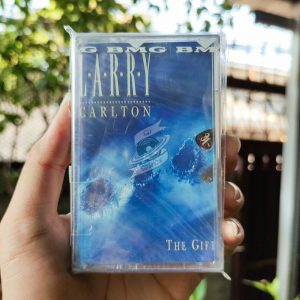 Larry Carlton - The Gift