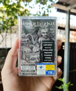 Limp Bizkit - New Old Songs