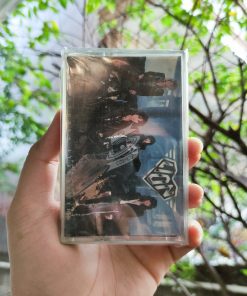 Lion - Dangerous Attraction