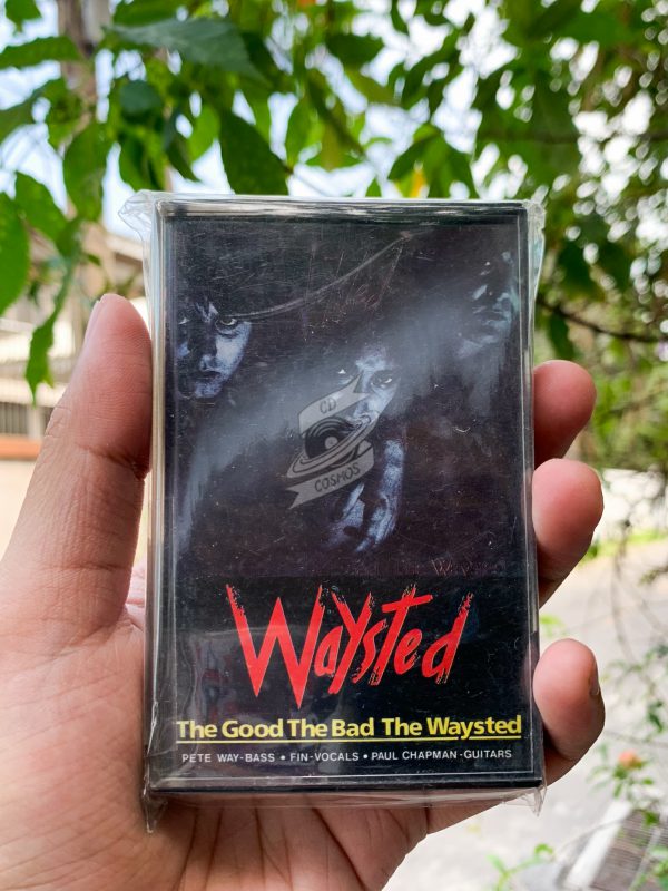 Waysted - The Good The Bad The Waysted
