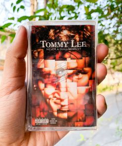 ‎Tommy Lee - Never A Dull Moment
