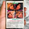 Poison - Look What The Cat Dragged In