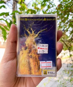 ‎‎‎Mario Lopez - Mother Earth