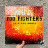 Foo Fighters – Skin And Bones Vinyl