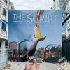 The Script – The Script Vinyl