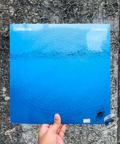 Caribou ‎– Suddenly Vinyl