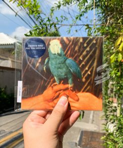 Andrew Bird – Are You Serious