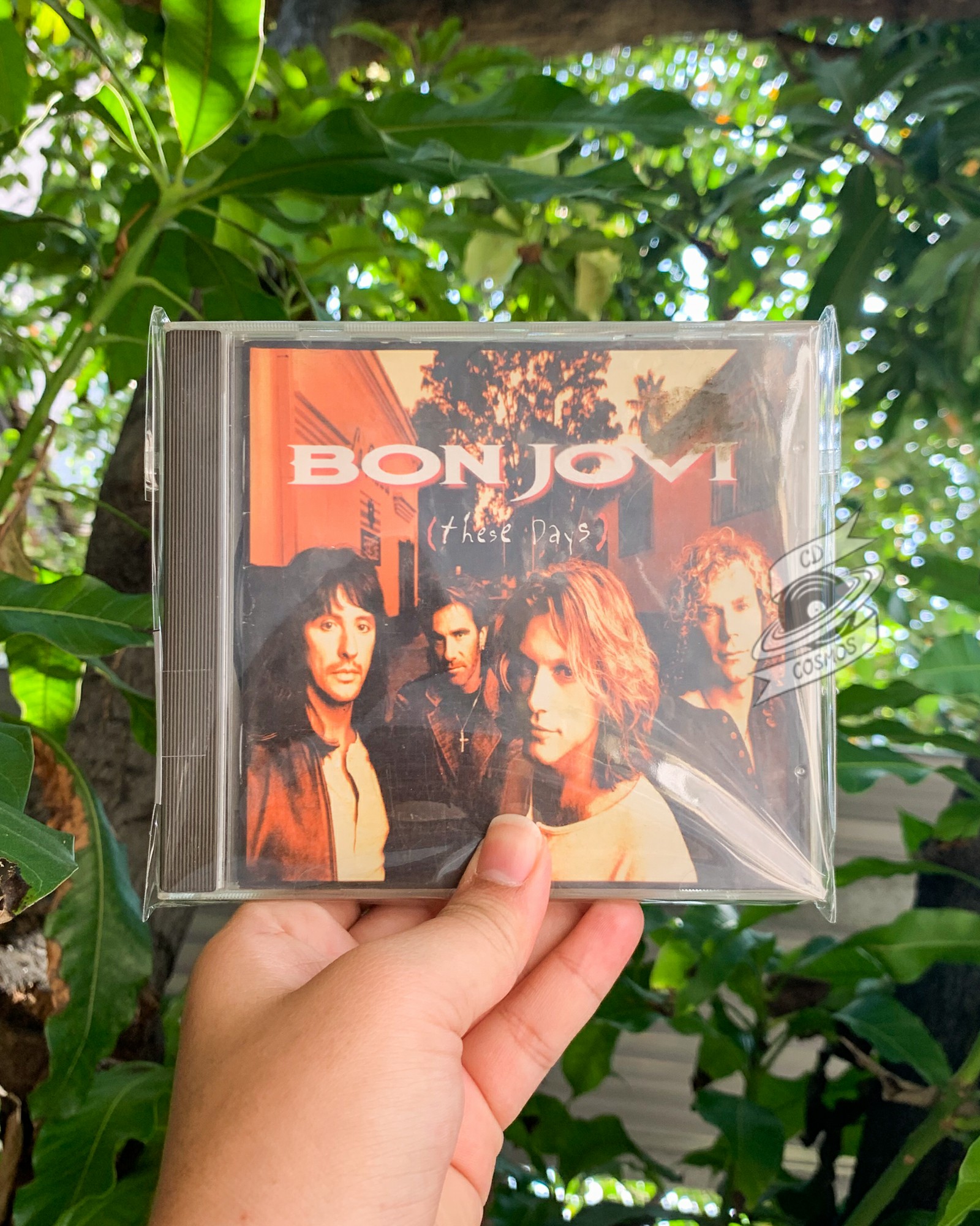 ボン・ジョヴィ Bon Jovi These Days ブック仕様 - 洋楽