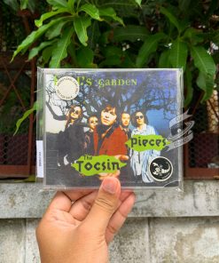 Fool's Garden - The Tocsin , Pieces