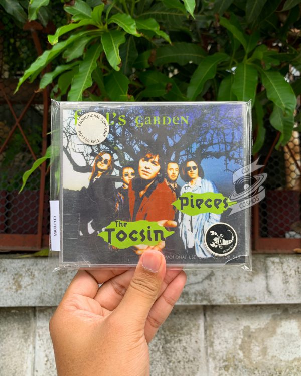 Fool's Garden - The Tocsin , Pieces