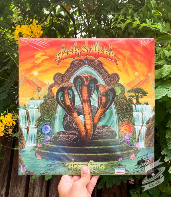 Tash Sultana ‎– Terra Firma Vinyl