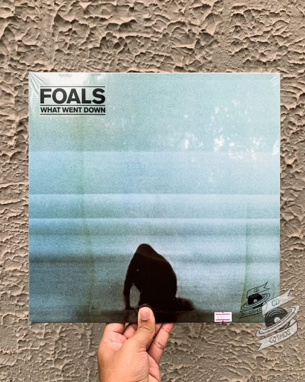 Foals – What Went Down Vinyl