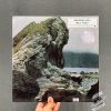 Motorama – Many Nights Vinyl