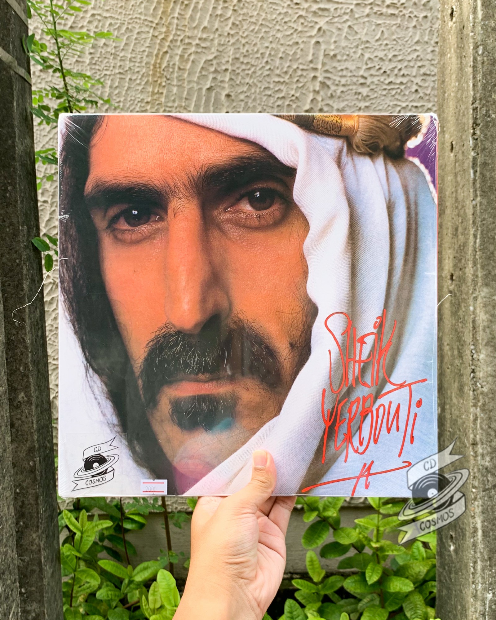 hjemme Fortryd dæk Frank Zappa – Sheik Yerbouti - cdcosmos