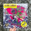 King Gizzard And The Lizard Wizard – Teenage Gizzard Vinyl