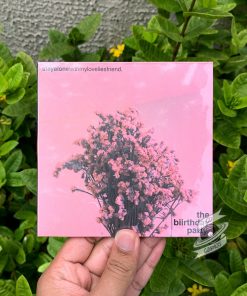 The Biirthday Party - stayalonewithmyloveliesfriend CD