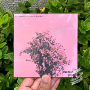 The Biirthday Party - stayalonewithmyloveliesfriend CD