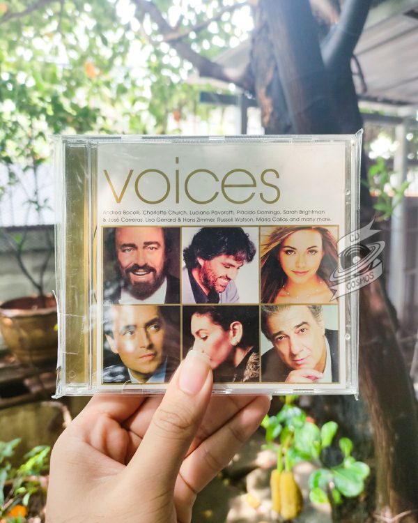 Various – Voices