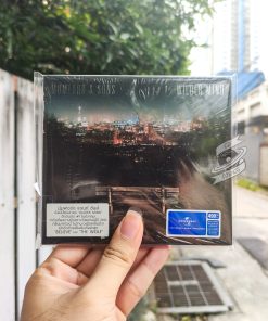 Mumford & Sons – Wilder Mind