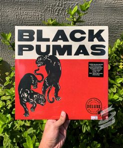 Black Pumas – Black Pumas Vinyl